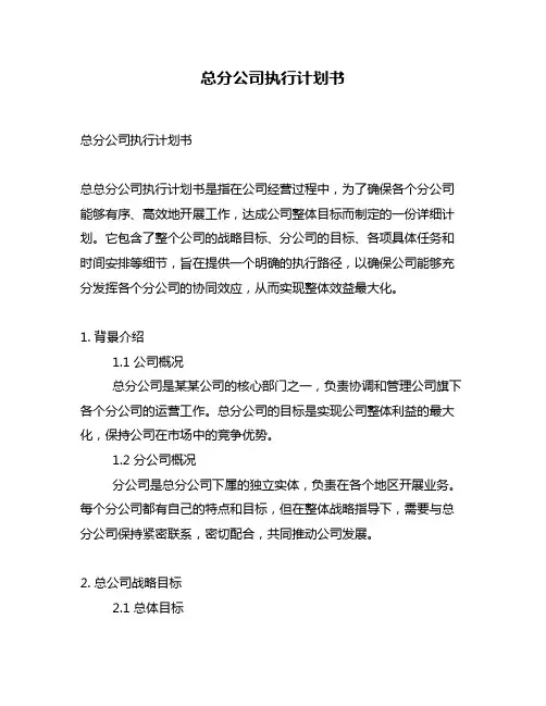 总分公司执行计划书