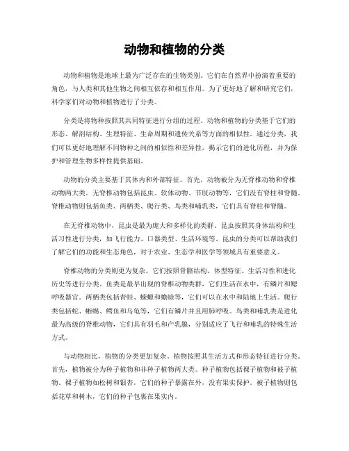 动物和植物的分类