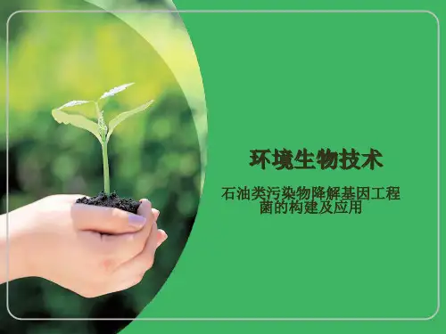 石油类污染物降解基因工程菌的构建及应用