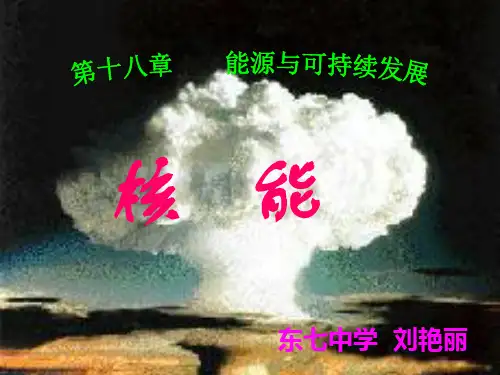 核能ppt4 苏科版优秀课件