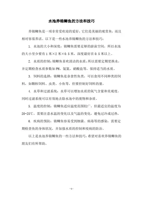 水池养锦鲫鱼的方法和技巧