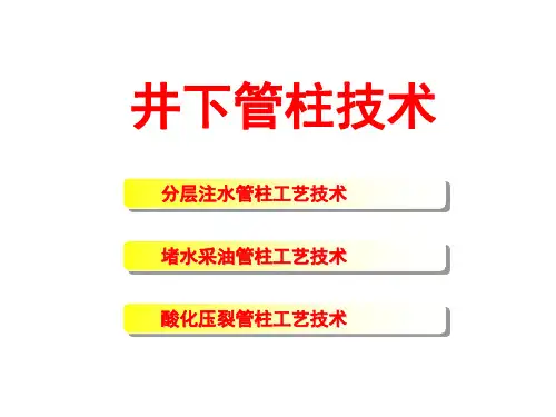 井下管柱技术