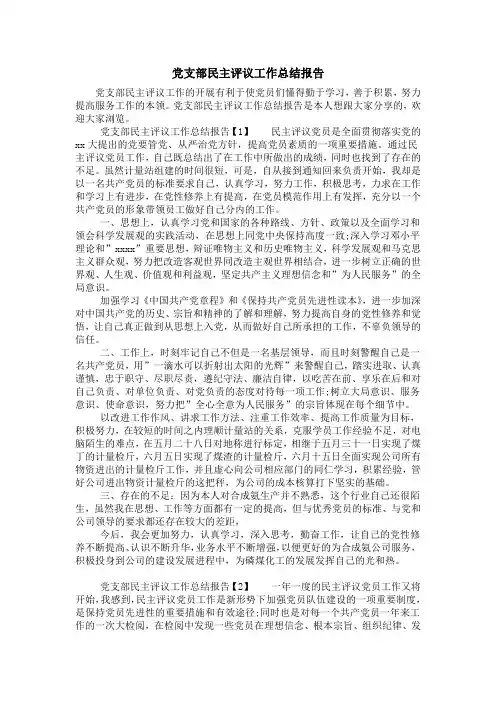 党支部民主评议工作总结报告