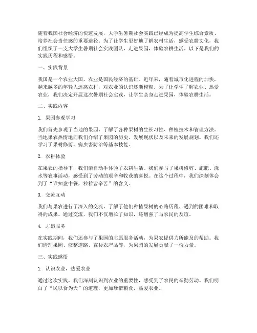 大学生暑期社会实践果园