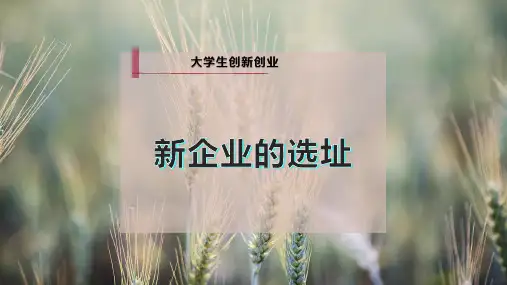 新企业的选址