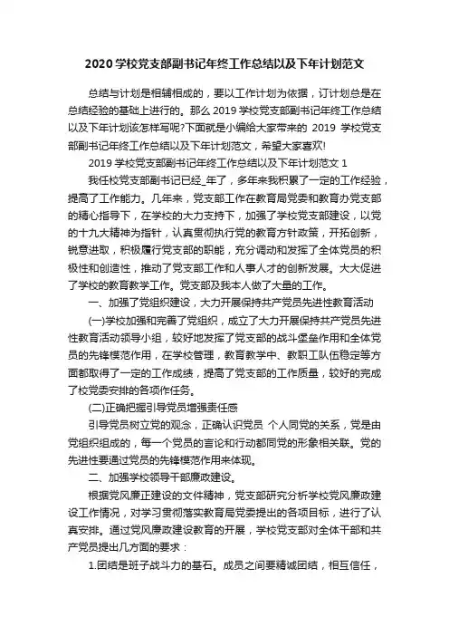 2020学校党支部副书记年终工作总结以及下年计划范文