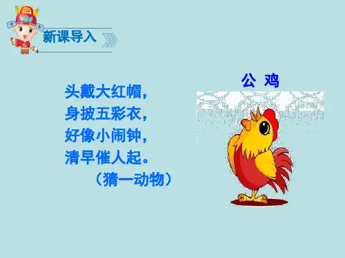 5.小公鸡和小鸭子(部编版一下课件)