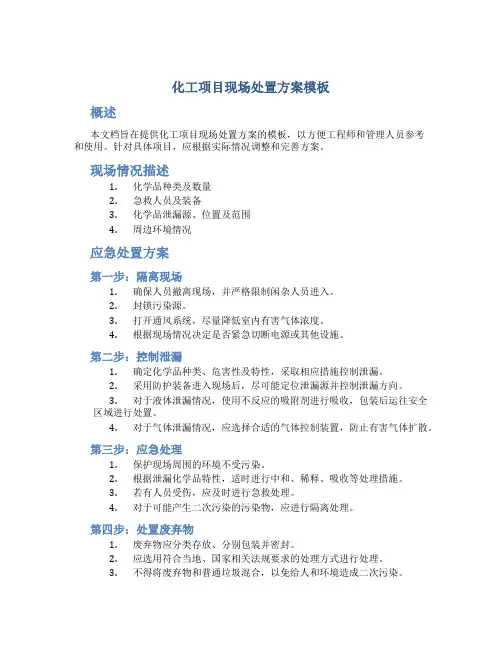 化工项目现场处置方案模板