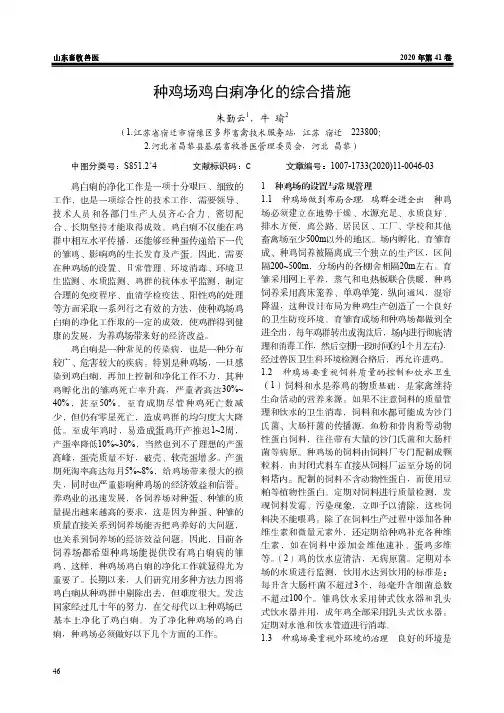 种鸡场鸡白痢净化的综合措施