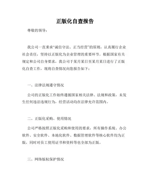 正版化自查报告