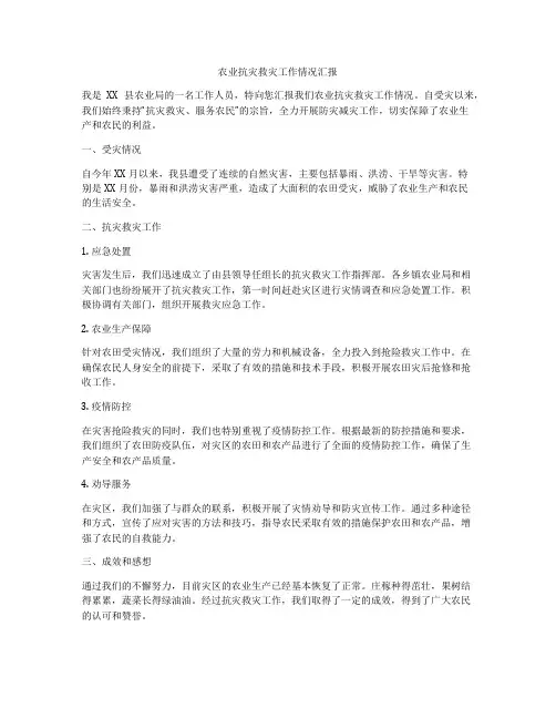 农业抗灾救灾工作情况汇报