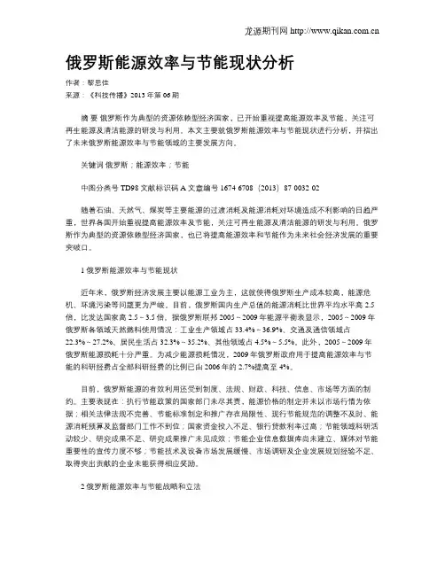 俄罗斯能源效率与节能现状分析