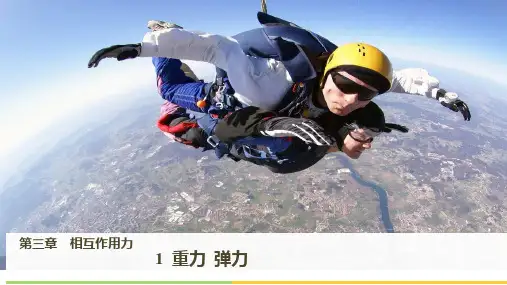 重力与弹力ppt课件