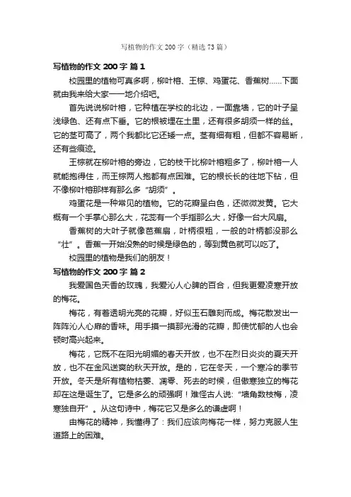 写植物的作文200字（精选73篇）