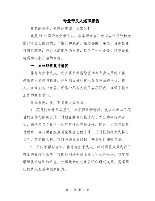 专业带头人述职报告