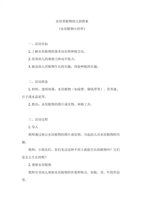 水培类植物幼儿园教案