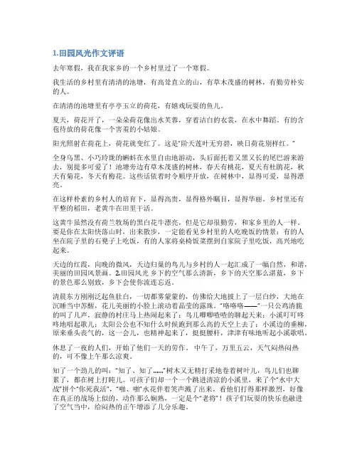 乡村美景作文评语