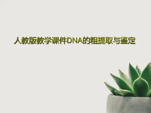 人教版教学课件DNA的粗提取与鉴定共27页