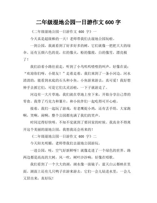 二年级湿地公园一日游作文600字