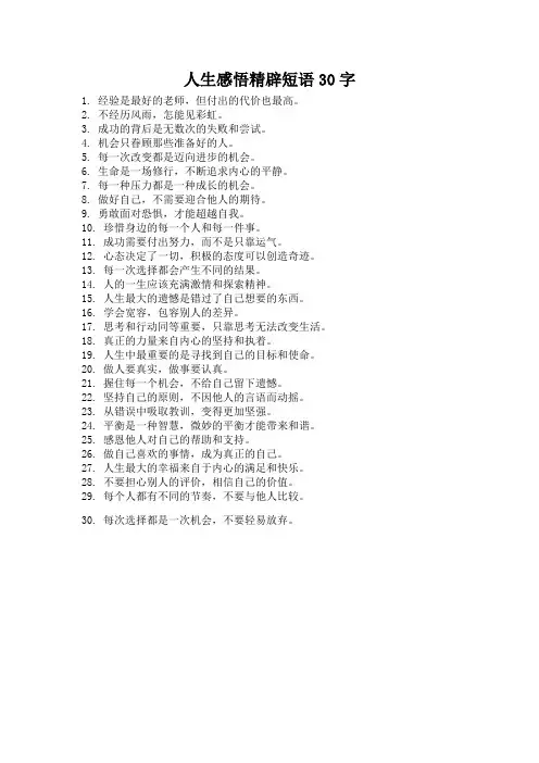 人生感悟精辟短语30字