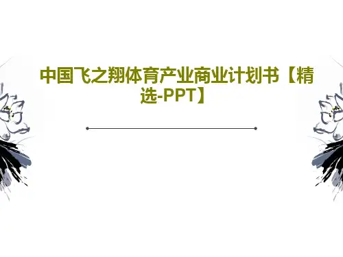 中国飞之翔体育产业商业计划书【精选-PPT】22页PPT