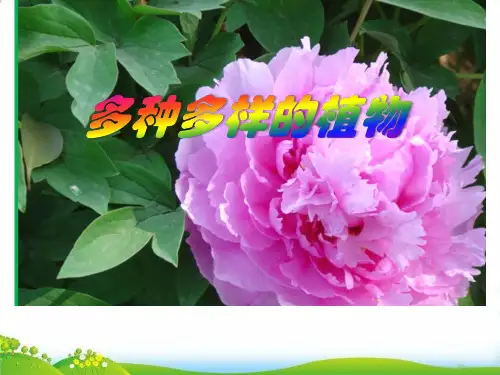 【教科版】教材《多种多样的植物》PPT-精讲课件1