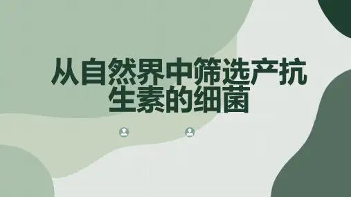 从自然界中筛选产抗生素的细菌