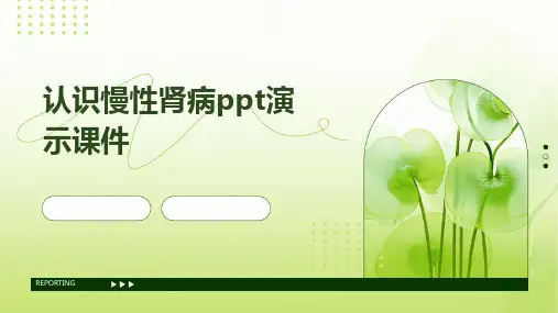 认识慢性肾病PPT演示课件