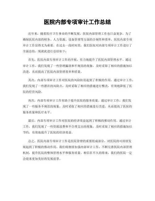 医院内部专项审计工作总结