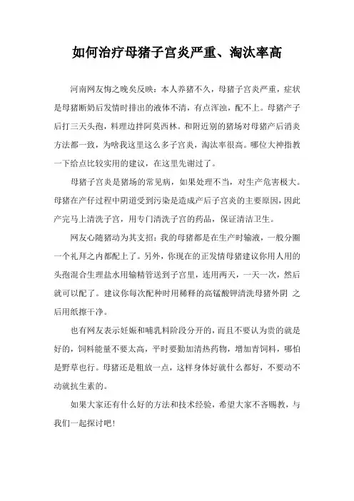 如何治疗母猪子宫炎严重淘汰率高