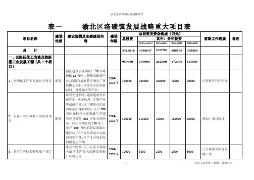 表一洛碛镇发展战略重大项目调查表12