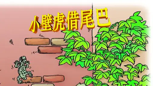 20小壁虎借尾巴 课件(共33张PPT)
