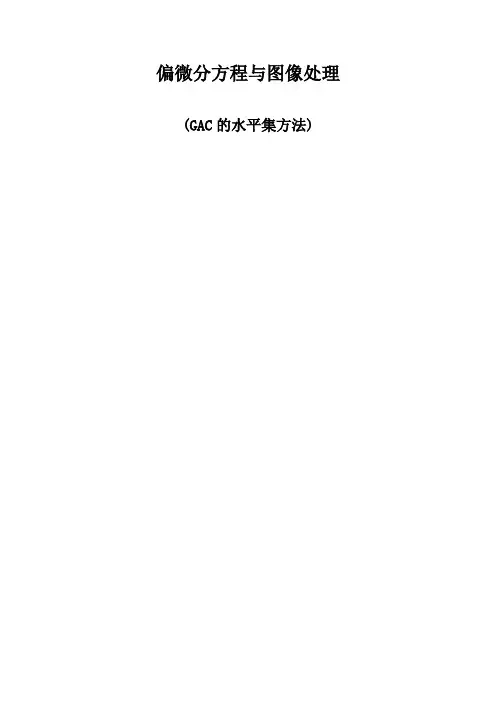 基于水平集的gac模型的图像分割报告
