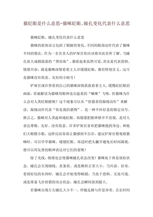 猫眨眼是什么意思-猫咪眨眼、瞳孔变化代表什么意思