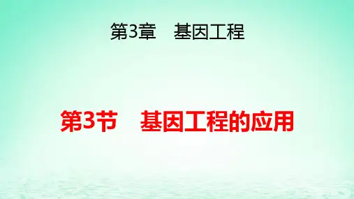 新教材高中生物第3章基因工程第3节基因工程的应用pptx课件新人教版选择性必修3
