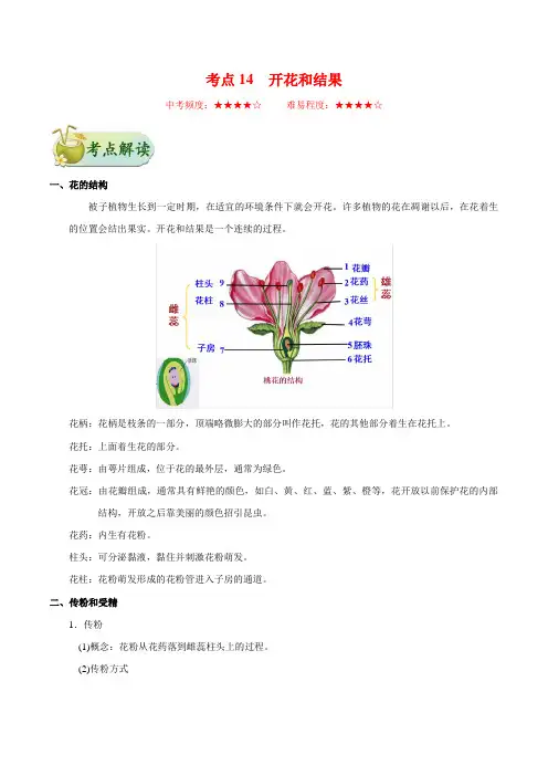 2021年初中生物中考知识点汇总 考点14 开花和结果