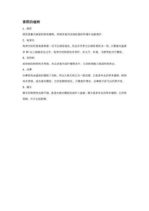 喜阴的植物