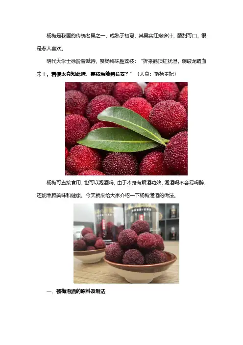 杨梅可以泡酒吗？杨梅泡酒的功效作用和泡酒方法