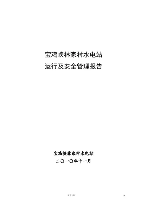 水电站运行及安全管理报告