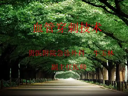 血管穿刺技术