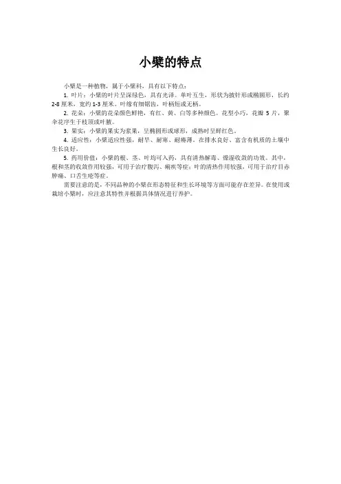 小檗的特点