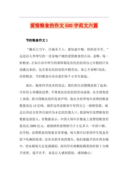爱惜粮食的作文500字范文六篇