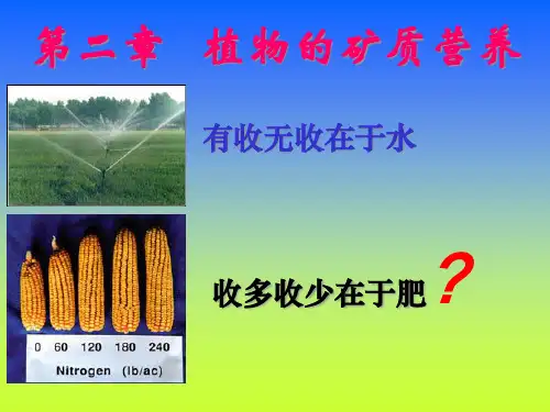 植物的矿质营养(PPT35页)