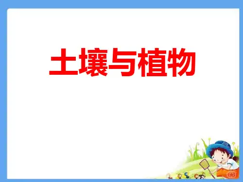 土壤与植物-PPT全文课件