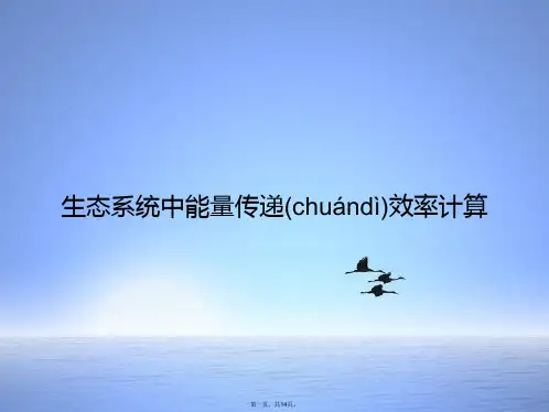 生态系统中能量传递效率计算