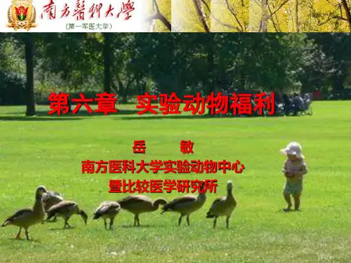第六章实验动物福利