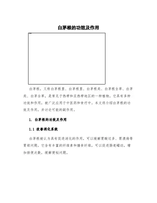 白茅根的功效及作用图片 白茅根的功效及作用和副作用