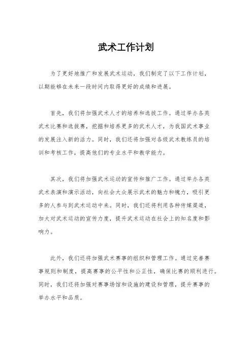 武术工作计划