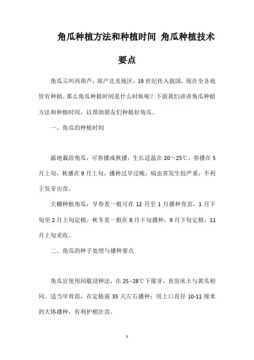 角瓜种植方法和种植时间角瓜种植技术要点
