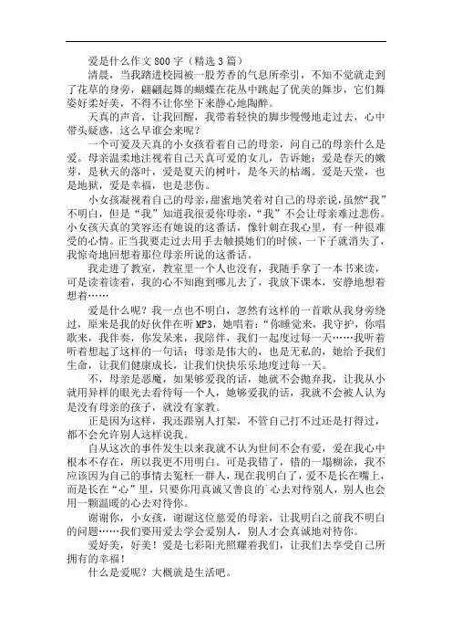 爱是什么作文800字精选范文